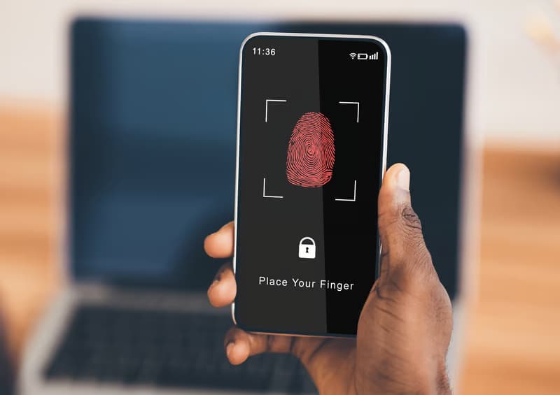 Biometric Authentication