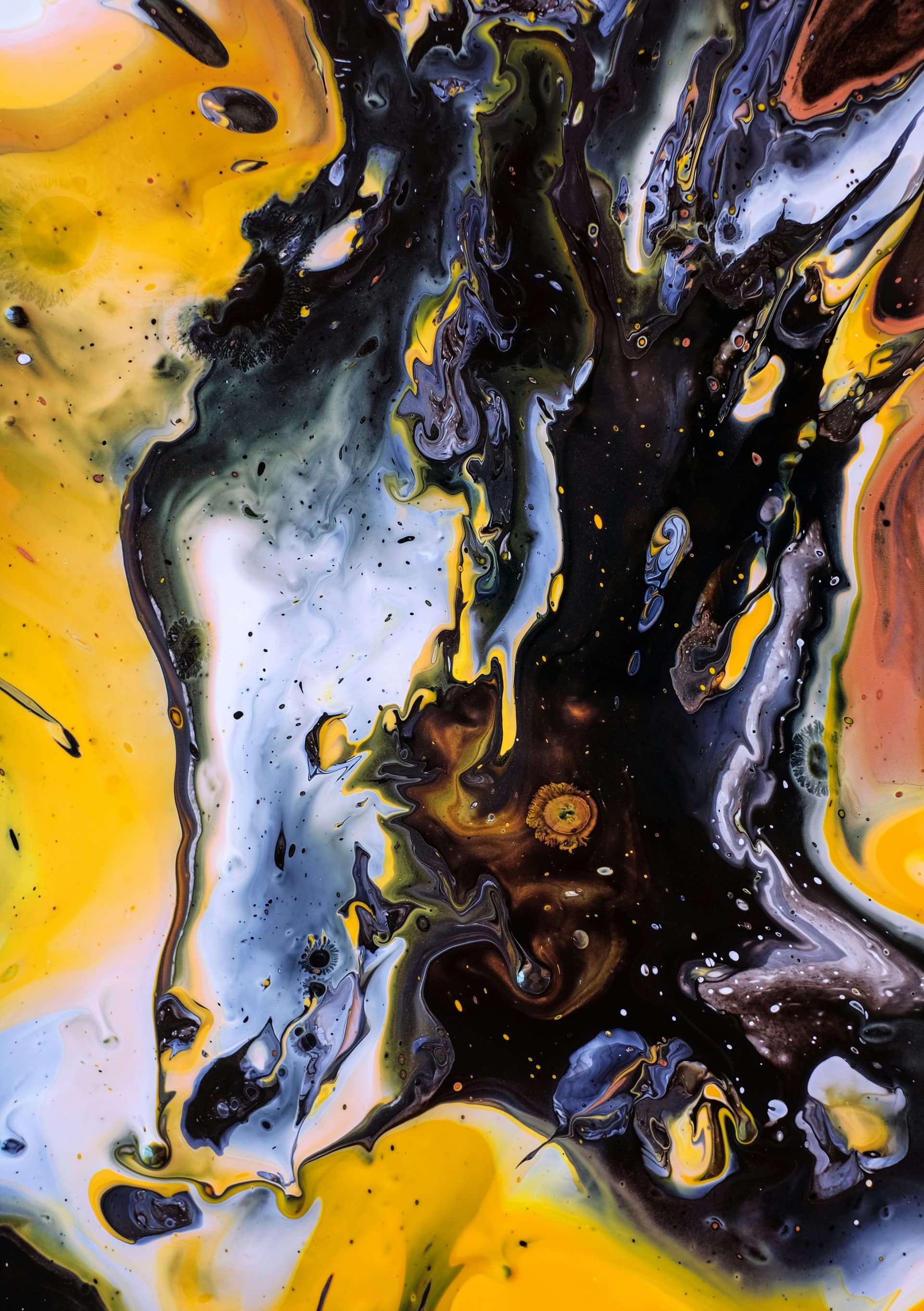 Art & Design